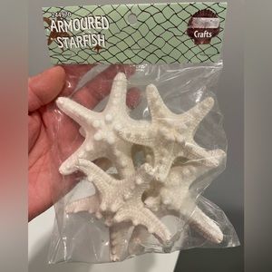 White Armoured Starfish Shells from Hobby Lobby